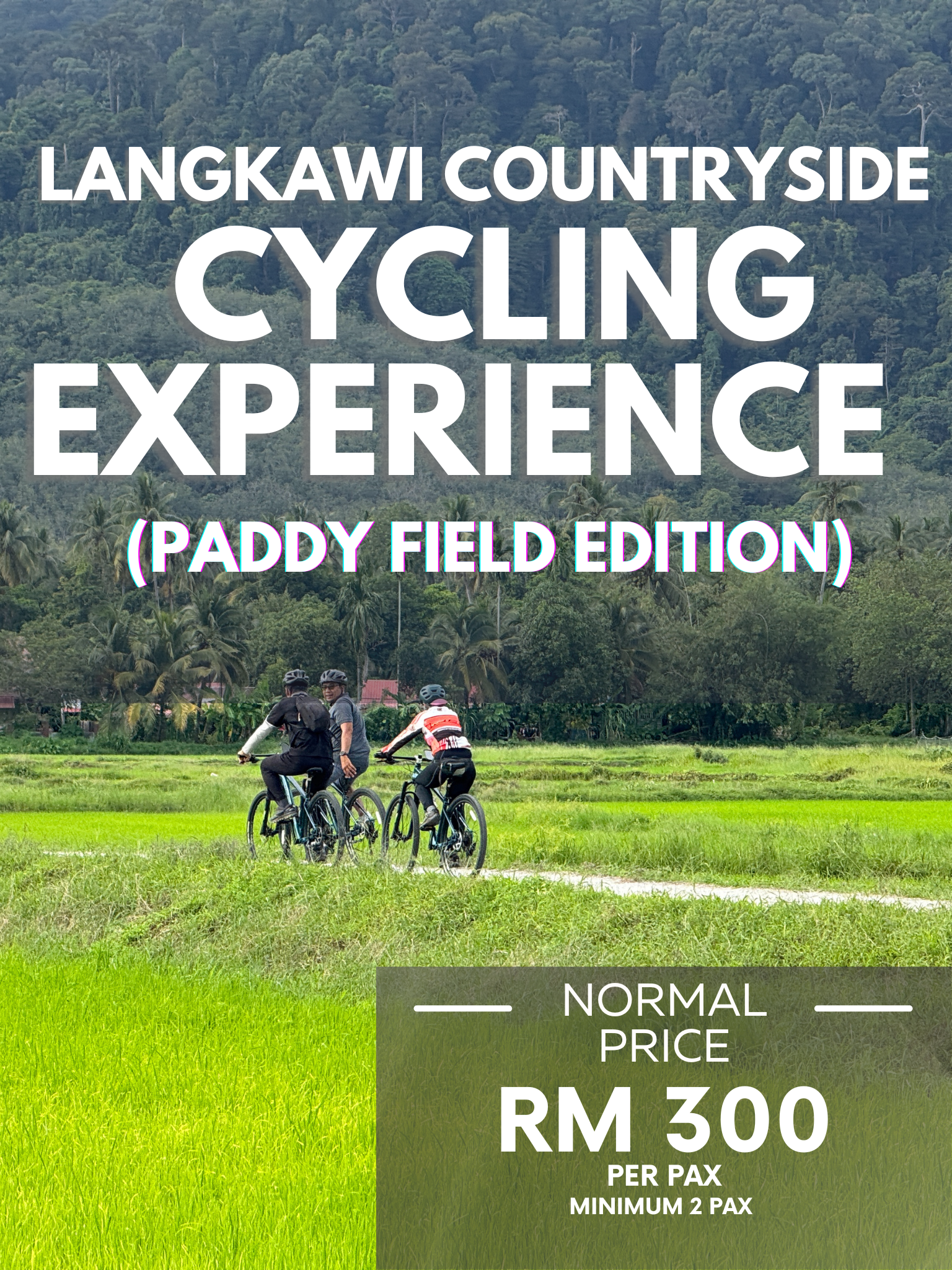 Cyclists riding through Langkawi&rsquo;s lush paddy fields on the Countryside Cycling Tour, surrounded by coconut trees and village scenery.